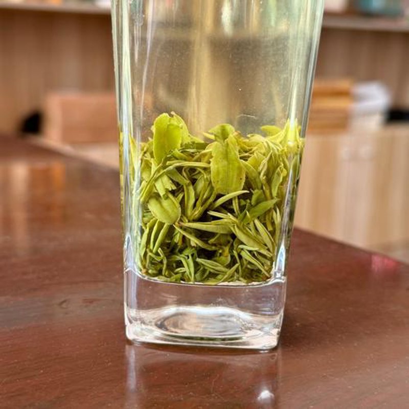走近缙云茶香：浙江省绿茶新秀