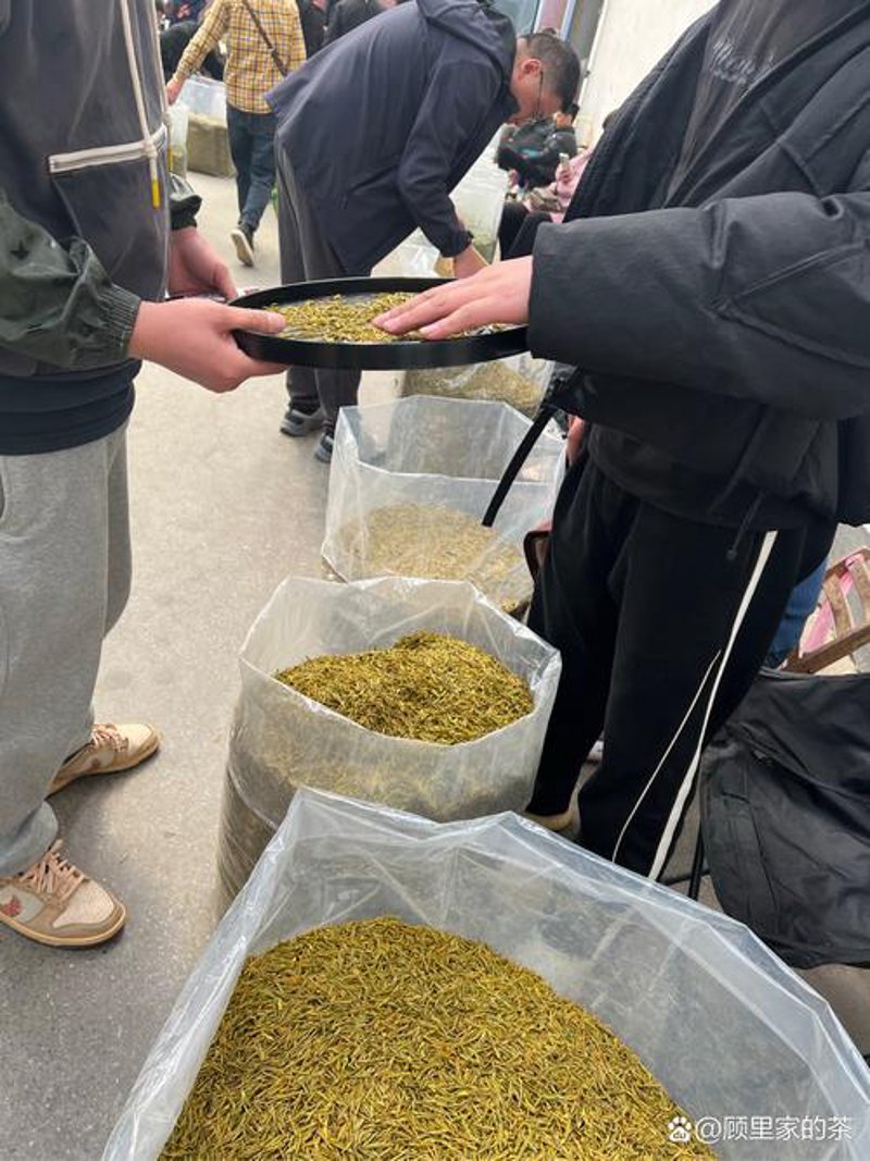 绿茶批发：行业趋势与消费者偏好